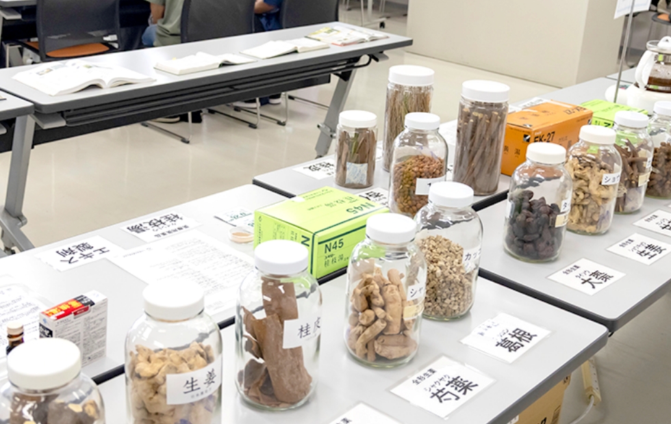 漢方の世界へようこそ