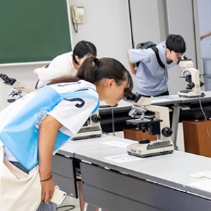 のぞいてみよう顕微鏡