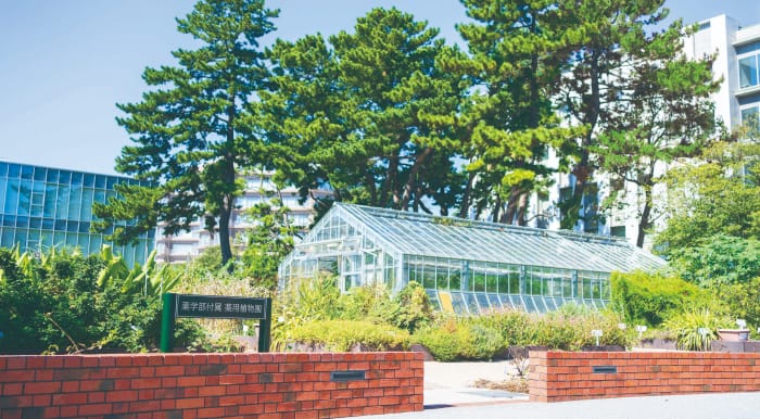 薬用植物見本園（薬草園）