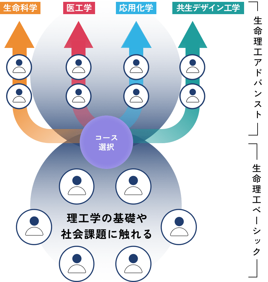 学びながら見つける専門分野